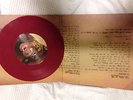 The Story So Far / Stick To Your Guns 7inch Vinyl Split EP 2013 (Oxblood Red)