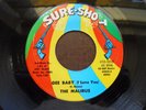 The Malibus - Gee Baby (i love you)