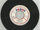 DAMINO JOHNSON / SUMMER TIME / FREAK OUT / 7''/ VG-