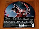 CHILDREN OF BODOM BLOODDRUNK 12