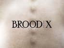 Boss Hog - Brood X (180 GR Vinyl/Trifold/MP3-Code) Vinyl LP Bronzerat NEW