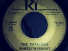 Surf Guitar The Catalinas Banzai Washout 45 RPM