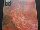 MORBID ANGEL Blessed Are The Sick LP 1991 + Inserts A1 B1 VG/EX RARE