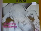 ISM A Diet For The Worms LP S.I.N./SHELF-JOBS 1983 US orig+insert RARE NY HC