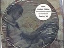STONE TEMPLE PILOTS READING '93 RARE Vinyl Record Picture Disc