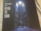 Kate Bush Before The Dawn LIVE 4 LP Vinyl Box Set  - Free US Shipping