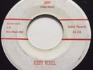 ROCKABILLY Teddy Redell JUDY / CAN'T YOU SEE Vaden 45 rare rocker