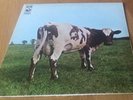 PINK FLOYD  VINYL -ATOM HEART MOTHER / ITALIAN HARVEST PRESS in MINT Condition