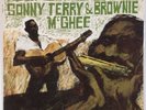 SONNY TERRY & BROWNIE McGHEE: Folk Songs Of ROULETTE Orig Blues LP NM- Wax