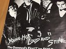 ORIGINAL 1976 PROMO POSTER FOR THE DAMNED’S FIRST SINGLE “NEW ROSE”