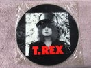 T REX The Slider PICTURE DISC RAPD 503