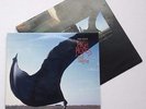 pink floyd high hopes
