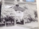 Oasis- Live Forever b/w Up In The Sky ( Acoustic )...Numbered 7