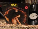 THE 31 Flavors Aka HAIR -THE FIREBIRDS LP  PSYCH FUZZ SHRINK VG++ Crown