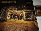 BLOSSOMS BUNDLE -  DEBUT 12