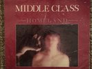 Middle Class “Homeland” STILL SEALED ORIGINAL 1st PRESS KBD LA PUNK LP