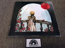 Grateful Dead - 