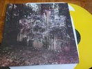 LA DISPUTE WILDLIFE 2XLP YELLOW TOUCHE AMORE CONVERGE TITLE FIGHT BANE BOTCH