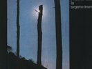 Tangerine Dream Ricochet Vinyl 2 LP NEW sealed