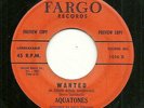 RNB DooWop 45 The Aquatones Fargo 1016 