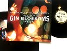 Gin Blossoms: Congratulations I'm Sorry 12