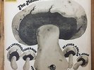 Various - The Mushroom Folk Sampler VINYL LP RARE 1971 ENGLISH FOLK 100 MR 16