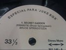 BRUCE SPRINGSTEEN - Secret Garden 7