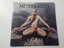 Meshuggah Obzen double grey Vinyl 12