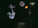 THE SISTERS OF MERCY Floodland  LP '87 Elektra vinyl MINT SEALED w/ HYPE STICKER