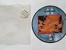 CHINA CRISIS Christian 7” UK ltd picture disc includes Greenacre Bay AUTOGRAPHED