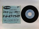 DEAD OR ALIVE Brand New Lover 7” Japan promo – 3:35 version on both sides