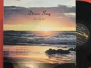 STEVE & ED on Century —DREAM SONG— private folk psych 1975 lp | RARE