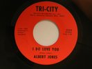 Albert Jones 45 I DO LOVE YOU / YOU MUST BE A BLESSING   Tri-City VG++ Detroit