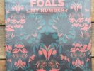 FOALS RSD 13 7
