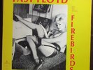 Fast Floyd & The Famous Firebirds 