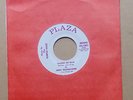 Purple Haze Jerry Beadlecomb Shades Of Blue rare 1969 US Plaza label 45
