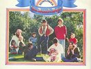 BEACH BOYS - SUNFLOWER - 12