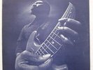 1 LP  THE SON SEALS BLUES BAND   The Son Seals Blues Band   1974