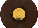 NEW SUPER RARE Panic  At The Disco - Vices & Virtues Maroon/Black Vinyl LP