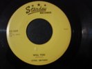 LONNIE SMITHSON QUARTER IN THE JUKEBOX 45 RECORD WILL YOU STARDAY 359