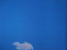 THE PLASTIC ONO BAND Live Peace In Toronto 1969 CALENDAR Apple Records VINYL LP