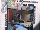 SLY & THE REVOLUTIONARIES / GO DEH WITH RIDDIM [CRYSTAL] original pressing