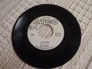THE SKYLINERS  I'D DIE/SINCE I FELL FOR YOU  ATCO 6270