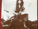 Kate Bush 'Night Of The Swallow' rare Irish single