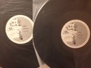RADIO SHOW: ROCK CHRONICLES 83-41 ELVIS COSTELLO, GREG KIHN, KANSAS,QUARTERFLASH