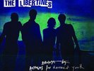 The Libertines - Anthems For Doomed Youth (Vinyl) Vinyl LP Emi NEW