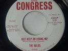 The Halos - Do I? / Just Keep On Loving Me  RARE Northern Soul 45 Girl Group NM