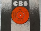 RARE BEAT POP 45 Paul Revere And The Raiders Steppin Out/ Blue Fox NM