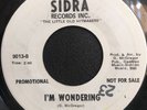 Timmy Willis - I'm Wondering / Mr. Soul Satisfaction Northern Soul WLP 45 NM-