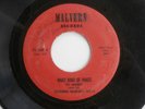 Rare Rockabilly ? TV HARRY & The GOLDEN NUGGET BOYS Malvern PA Record Label 45